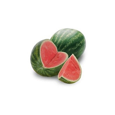Pastèque mini tigré bio la pièce