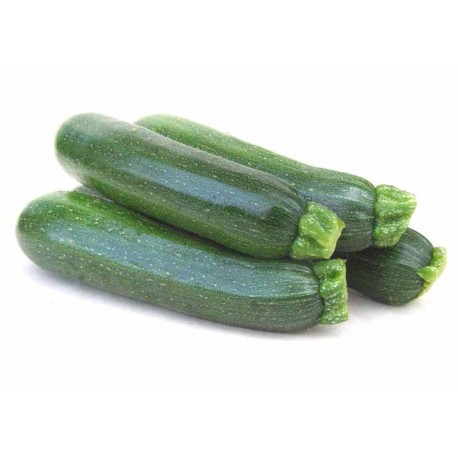 Courgette 1 kg