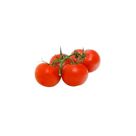 Tomates grappe bio 500 g