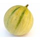 Melon Charentais bio env 600 g