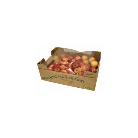Pommes Red star bio 1 kg