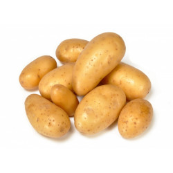 Pommes de terre charlotte bio 1kg