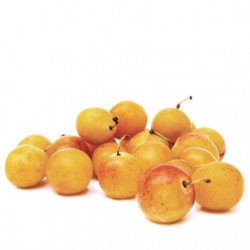 Prunes Mirabelle bio 1 kg