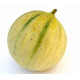Melon Charentais bio la pièce