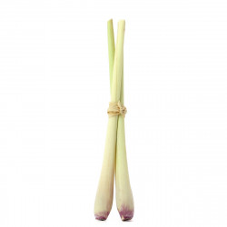 Citronnelle bio 50 g