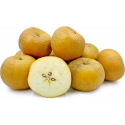 Pommes Reinettes grises du Canada 1 kg