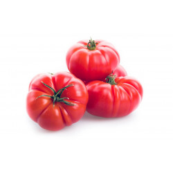 Tomates cotélées rouge 1 kg