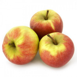 Pommes Elstar bio1 kg