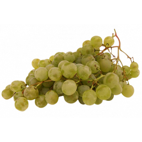 Raisins blancs bio Centenial sans pépins 1 kg
