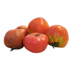 Tomates type anciennes mix bio 500 g