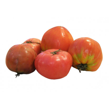 Mini tomates poires rouges