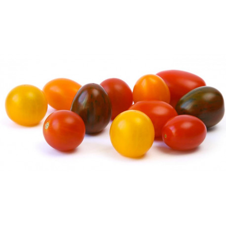 Tomate cerise multicolore bio 300 g