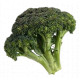 Chou brocoli bio 1 kg