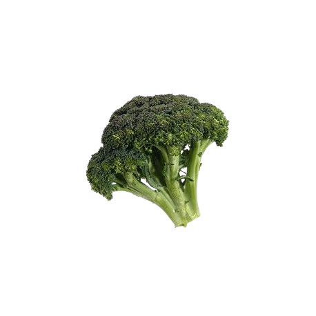Chou brocoli bio 1 kg