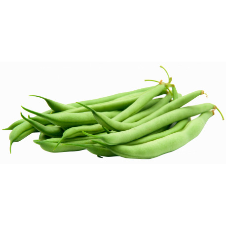 Haricots verts fins bio 1 kg