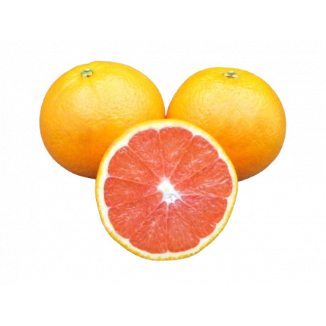 Oranges Cara-cara bio 1 kg