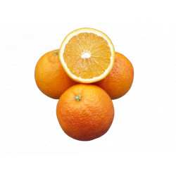 Oranges Maltaise bio 1 kg cal 8