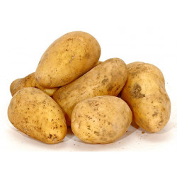 Pommes de terre Maïwenn bio 1 kg