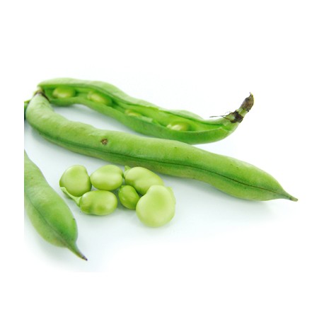 Fèves bio 500 g