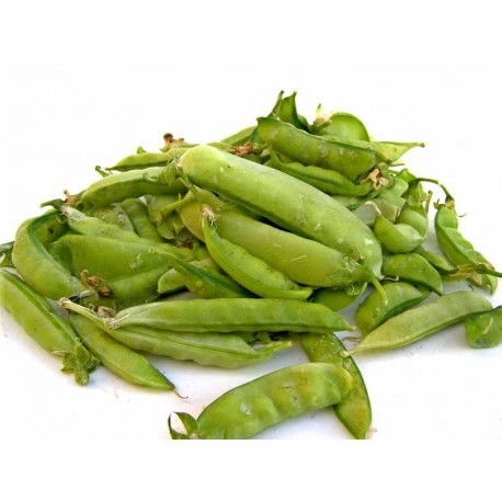 Petits pois mange tout bio 500 g