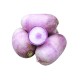 Radis roses la botte