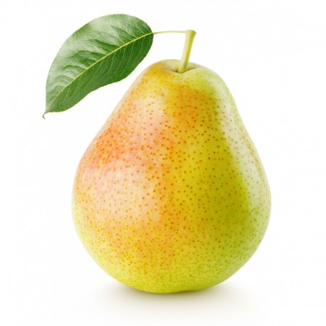 Poires Comice bio 1kg