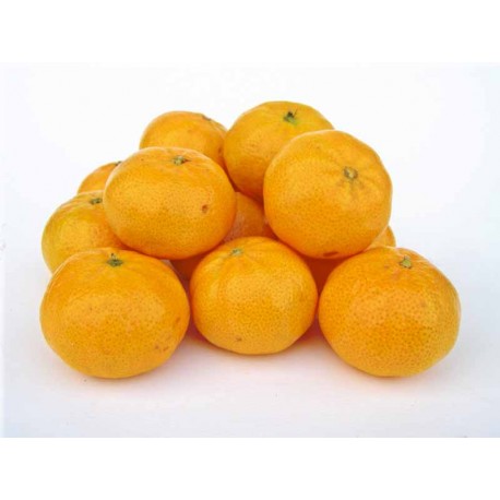 Mandarines Avana bio 1kg