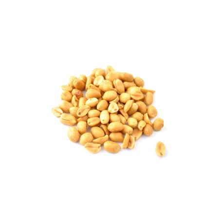 Arachide décortiquée grillée nature bio 200g