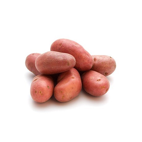 Pomme de terre Saline 1kg