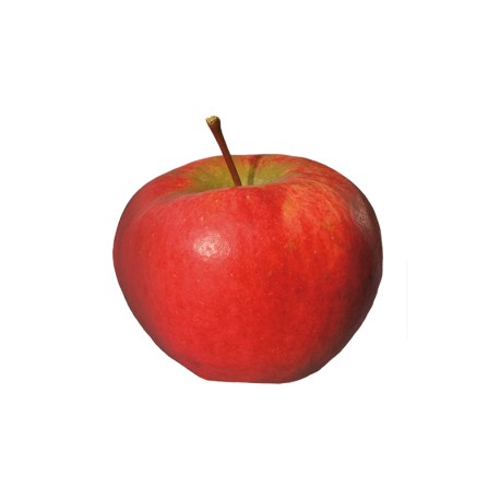 Pommes Topaz déclassées 1 kg