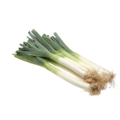 Poireau primeur bio