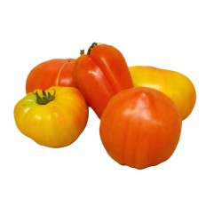 Tomates type anciennes mix locales bio 1 kg