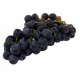 Radis noirs 500 g