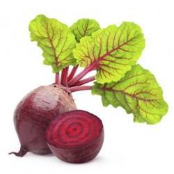 Betteraves rouges primeur bio 500 g