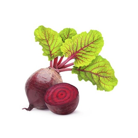 Betteraves rouges 500 g