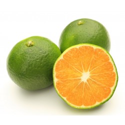 Mandarine Satsuma bio 1 Kg