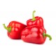 Poivrons bio 500 g