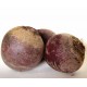 Betteraves rouges 500 g