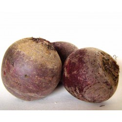 Betteraves rouges bio 500 g