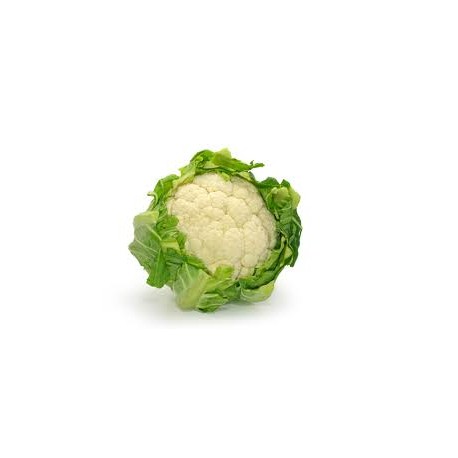 Chou fleur bio petit