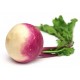 Navets nouveaux bio 500 g