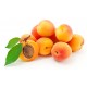 Oranges Cara-cara 1 kg