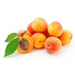 Abricots bio 1 kg