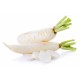 Radis blanc Daïkon bio 1 kg