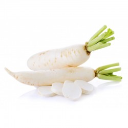 Radis blanc Daïkon bio 1 kg