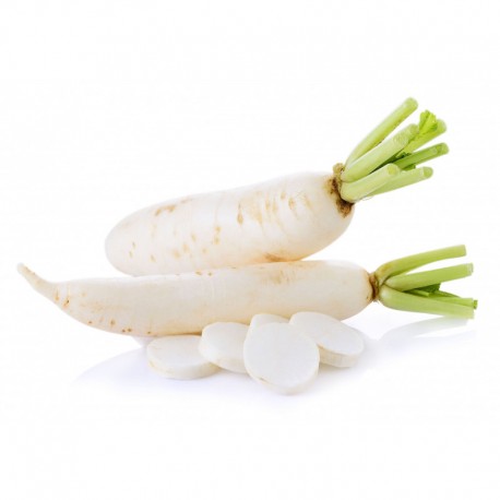 Radis blanc Daïkon bio 1 kg