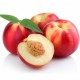 Nectarines blanches 500 g bio