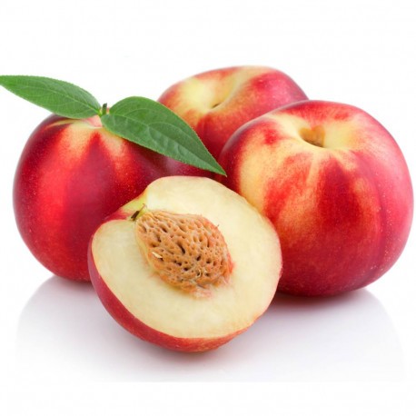Nectarines blanches 500 g bio