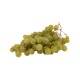 Raisins blancs bio Centenial sans pépins 500 g